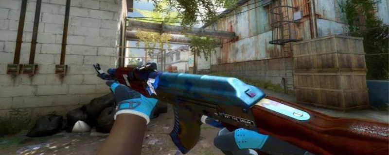 赢得了教练 赢得了教练