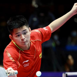 主不再仅仅 主不再仅仅